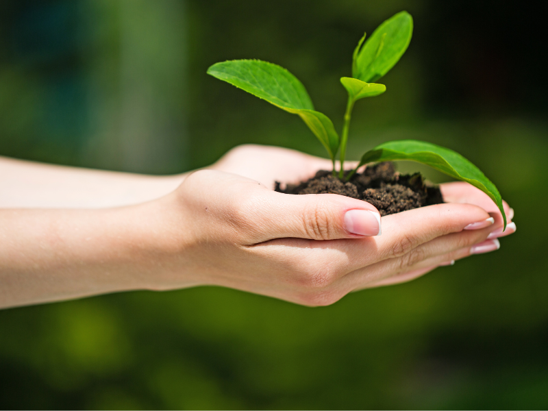 Engenheiro Agrônomo Alcimar Viana - Especialista em Consultoria Rural e Projetos Agropecuários em Zé Doca-MA