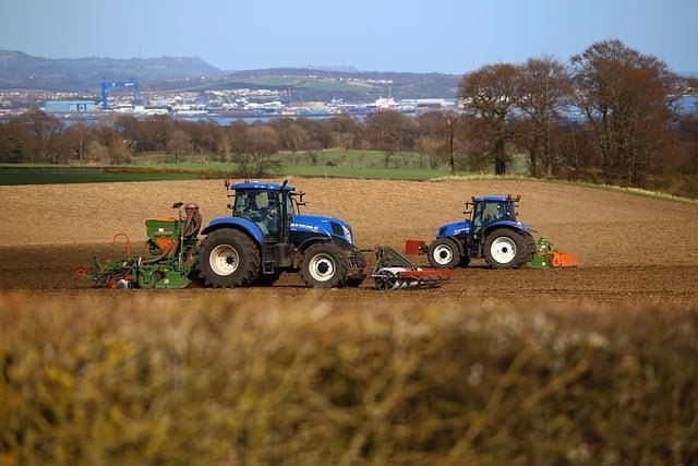 Projeto de Financiamento Rural para atividade pecuária - Agrônomo Alcimar Viana